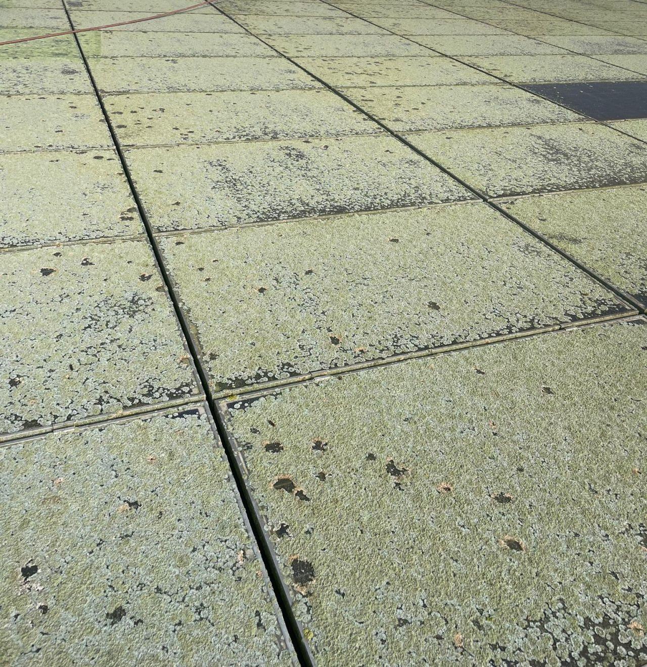 How often do solar panels need to be cleaned?